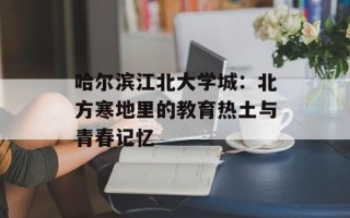 哈尔滨江北大学城：北方寒地里的教育热土与青春记忆
