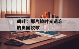 胡畔：那片被时光遗忘的田园牧歌