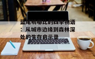 蓝尾鸲嘟比的四季物语：从城市边缘到森林深处的生存启示录