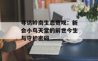 寻访岭南生态奇观：新会小鸟天堂的前世今生与守护密码