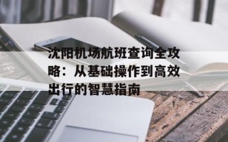 沈阳机场航班查询全攻略：从基础操作到高效出行的智慧指南