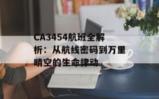 CA3454航班全解析：从航线密码到万里晴空的生命律动