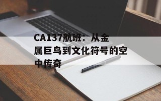 CA137航班：从金属巨鸟到文化符号的空中传奇