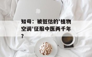 知母：被低估的'植物空调'征服中医两千年？