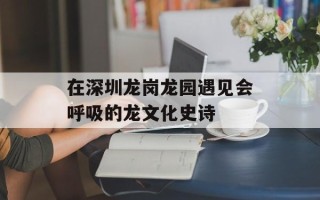 在深圳龙岗龙园遇见会呼吸的龙文化史诗