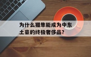 为什么猎隼能成为中东土豪的终极奢侈品？