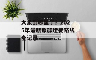 大象到哪里了？2025年最新象群迁徙路线全记录