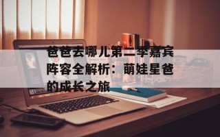 爸爸去哪儿第二季嘉宾阵容全解析：萌娃星爸的成长之旅