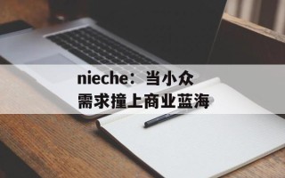 nieche：当小众需求撞上商业蓝海