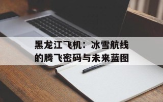 黑龙江飞机：冰雪航线的腾飞密码与未来蓝图