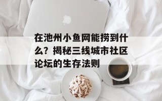 在池州小鱼网能捞到什么？揭秘三线城市社区论坛的生存法则