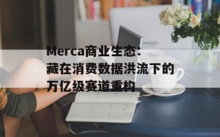 Merca商业生态：藏在消费数据洪流下的万亿级赛道重构