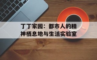 丁丁家园：都市人的精神栖息地与生活实验室