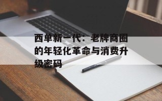 西单新一代：老牌商圈的年轻化革命与消费升级密码