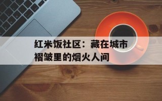 红米饭社区：藏在城市褶皱里的烟火人间
