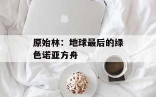 原始林：地球最后的绿色诺亚方舟