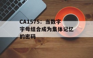 CA1575：当数字字母组合成为集体记忆的密码