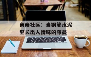 亲亲社区：当钢筋水泥里长出人情味的藤蔓