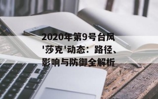 2020年第9号台风'莎克'动态：路径、影响与防御全解析