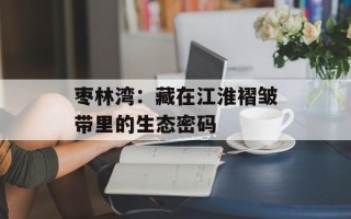 枣林湾：藏在江淮褶皱带里的生态密码
