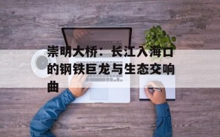 崇明大桥：长江入海口的钢铁巨龙与生态交响曲