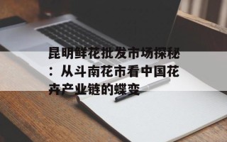昆明鲜花批发市场探秘：从斗南花市看中国花卉产业链的蝶变