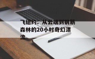 飞纽约：从云端到钢筋森林的20小时奇幻漂流