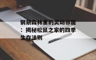 钢筋森林里的灵动邻居：揭秘松鼠之家的四季生存法则