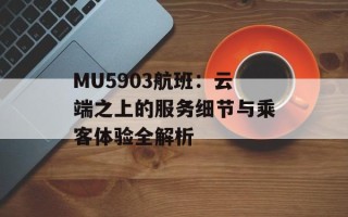 MU5903航班：云端之上的服务细节与乘客体验全解析
