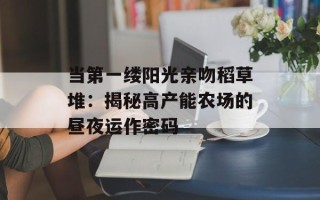 当第一缕阳光亲吻稻草堆：揭秘高产能农场的昼夜运作密码