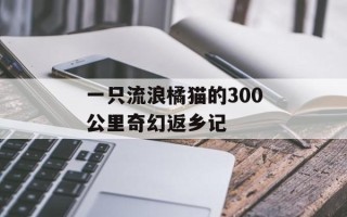 一只流浪橘猫的300公里奇幻返乡记