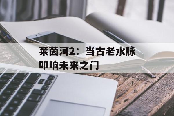 莱茵河2:当古老水脉叩响未来之门-第1张图片- 莱茵河2:当古老水脉叩响未来之门-第1张图片-