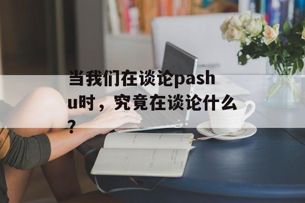当我们在谈论pashu时，究竟在谈论什么？-第1张图片-