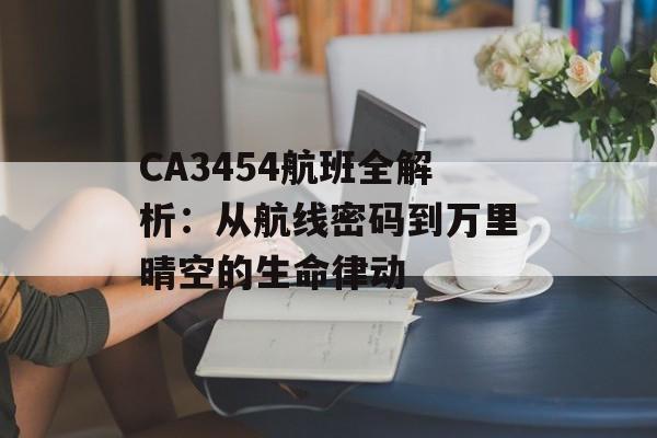 CA3454航班全解析：从航线密码到万里晴空的生命律动-第1张图片-