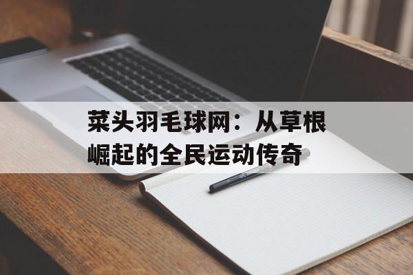 菜头羽毛球网:从草根崛起的全民运动传奇-第1张图片- 菜头羽毛球网:从草根崛起的全民运动传奇-第1张图片-