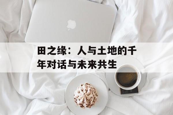 田之缘：人与土地的千年对话与未来共生-第1张图片-