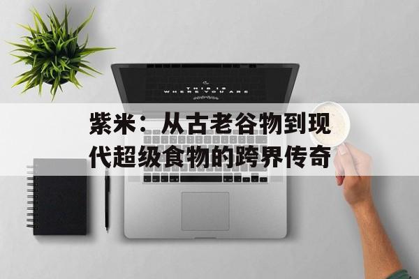 紫米：从古老谷物到现代超级食物的跨界传奇-第1张图片-