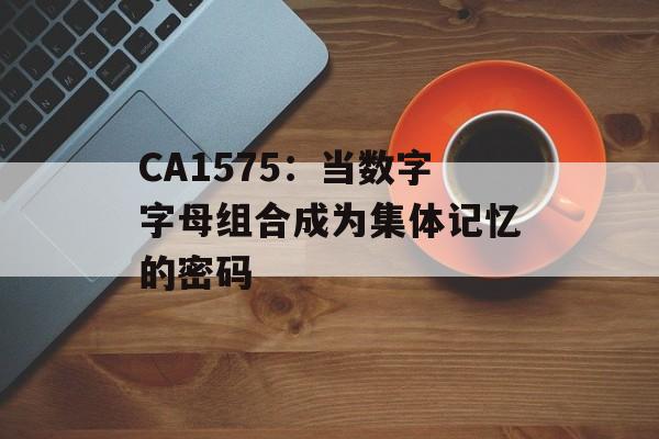 CA1575：当数字字母组合成为集体记忆的密码-第1张图片-