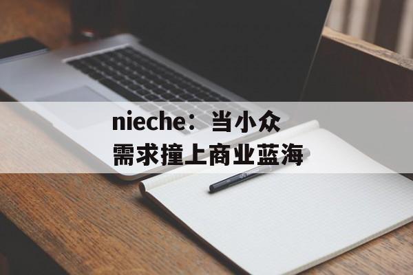 nieche:当小众需求撞上商业蓝海-第1张图片- nieche:当小众需求撞上商业蓝海-第1张图片-