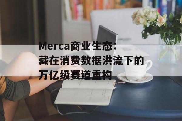 Merca商业生态：藏在消费数据洪流下的万亿级赛道重构-第1张图片-