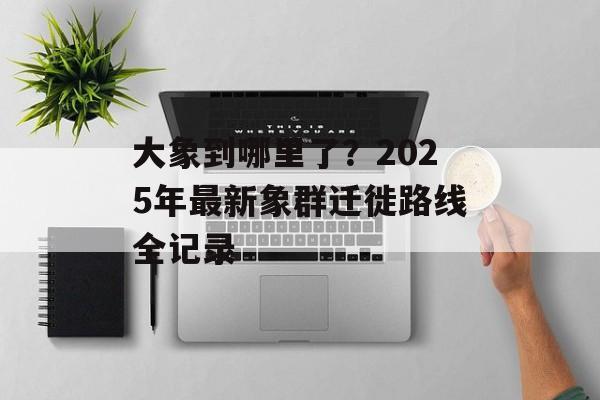 大象到哪里了？2025年最新象群迁徙路线全记录-第1张图片-